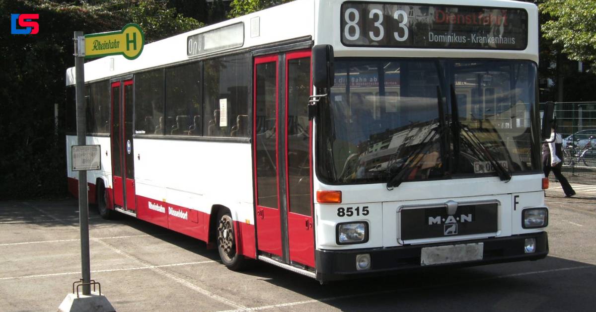  10 Standard Buses