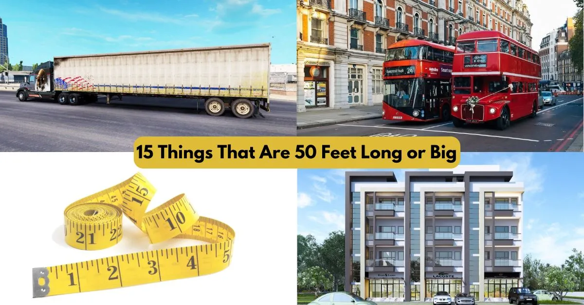 15 Things That Are 50 Feet Long or Big