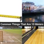 10 Common Things That Are 10 Meters Long