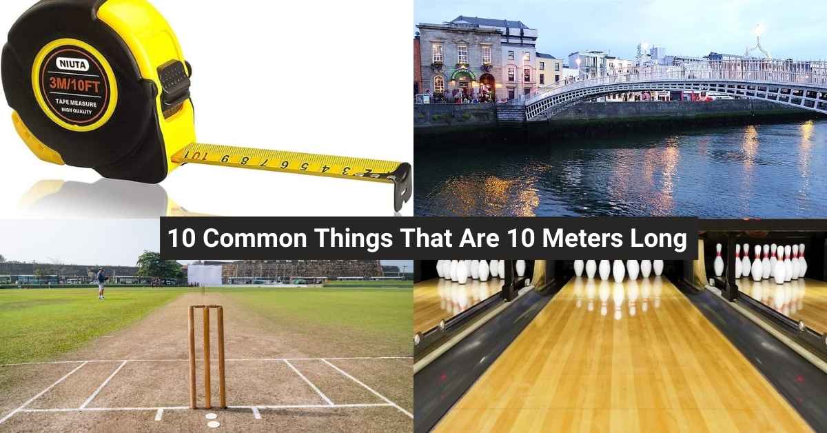 10 Common Things That Are 10 Meters Long