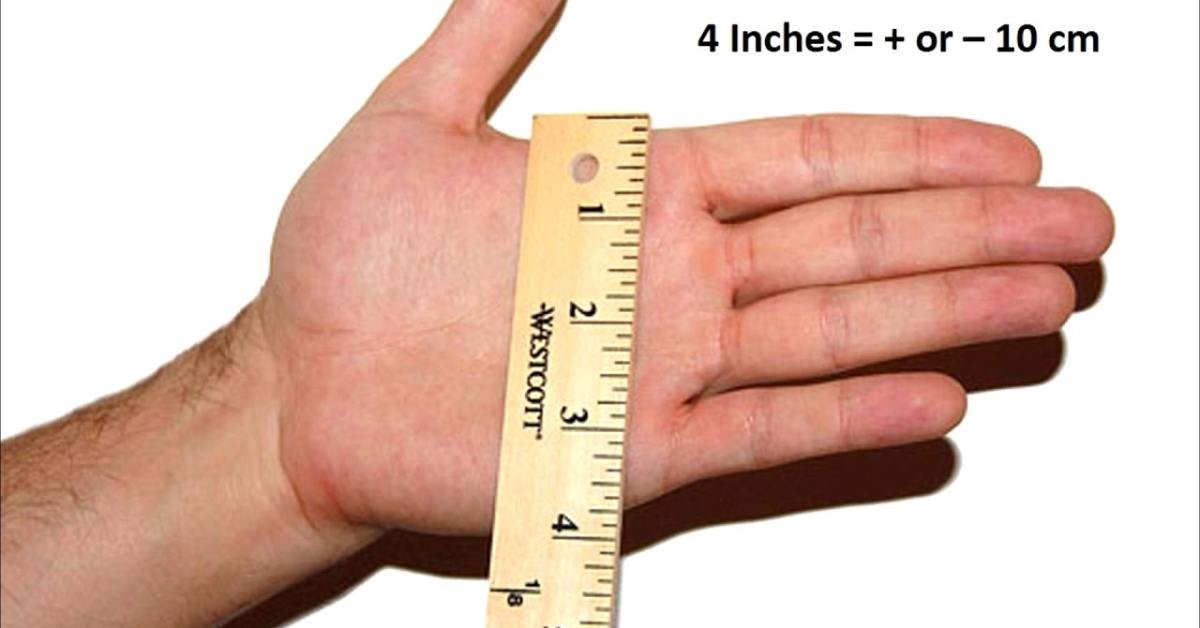 Average Hand Width