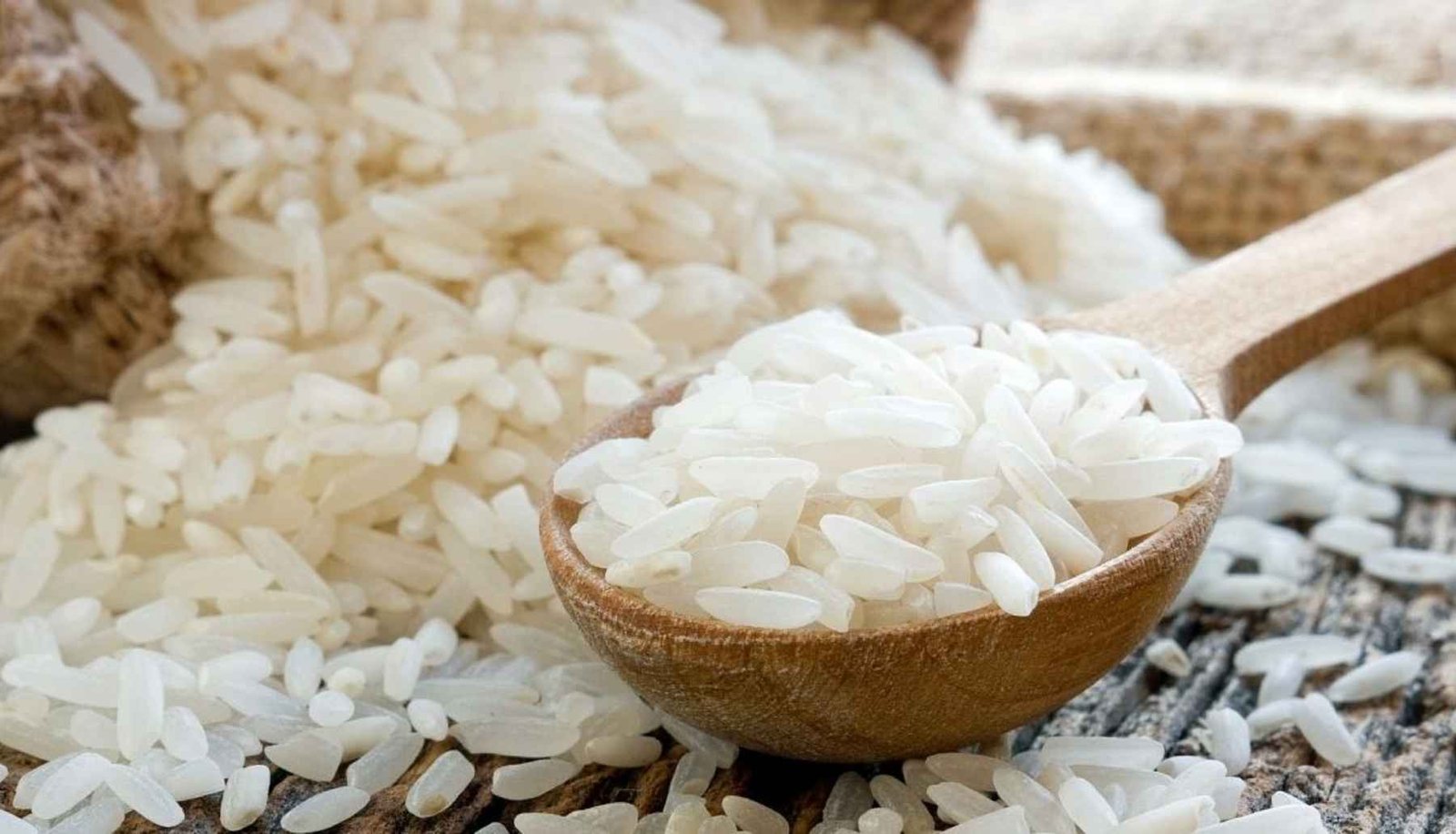 A Rice Grain