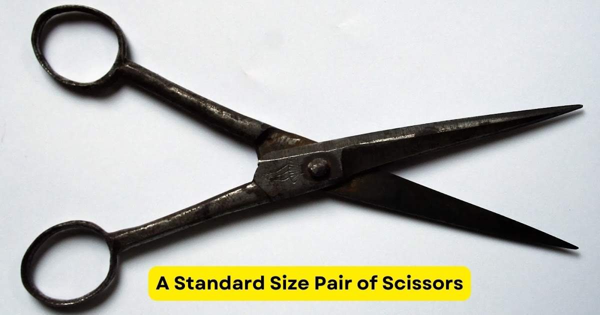 A Standard Size Pair of Scissors