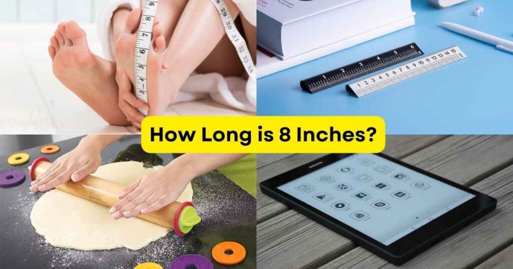 How Long is 8 Inches?