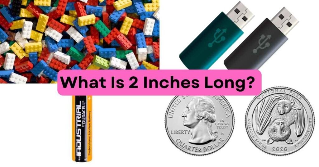 What Is 2 Inches Long?