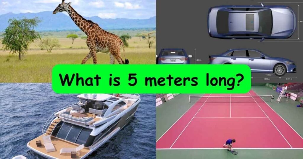 What is 5 meters long?