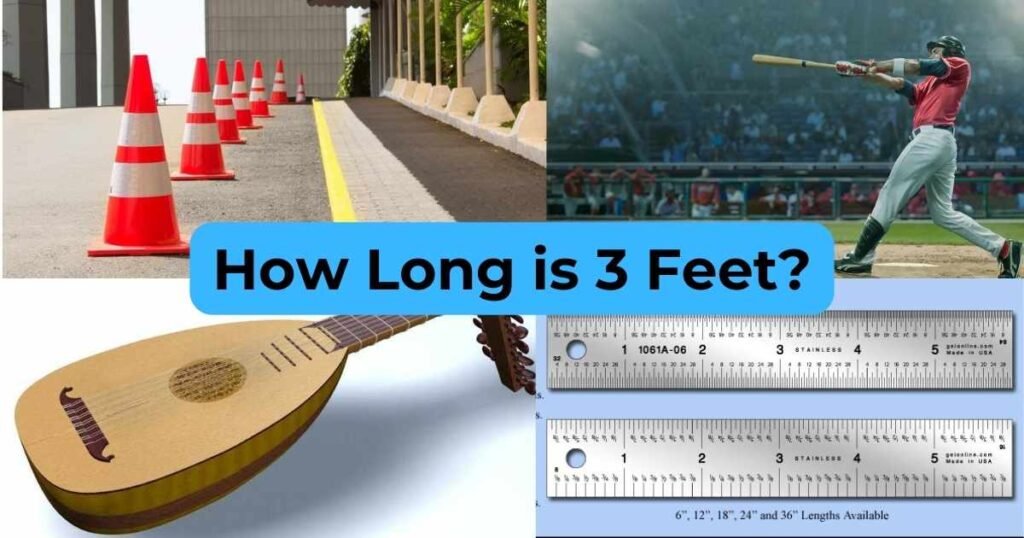 How Long is 3 Feet