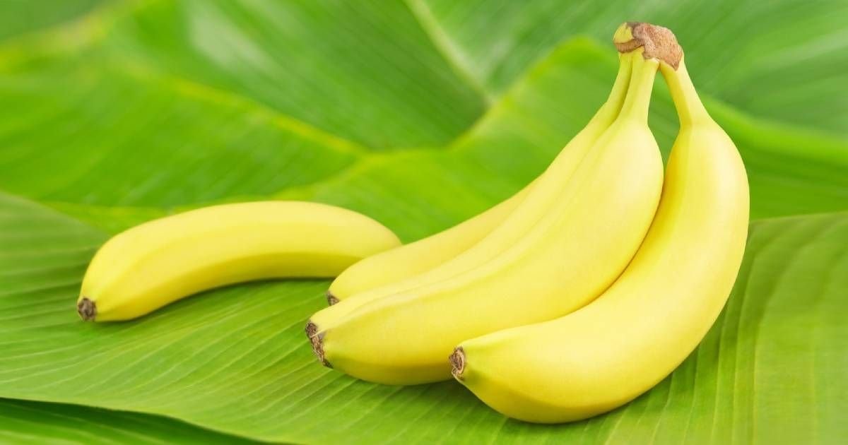 A Small-Sized Banana