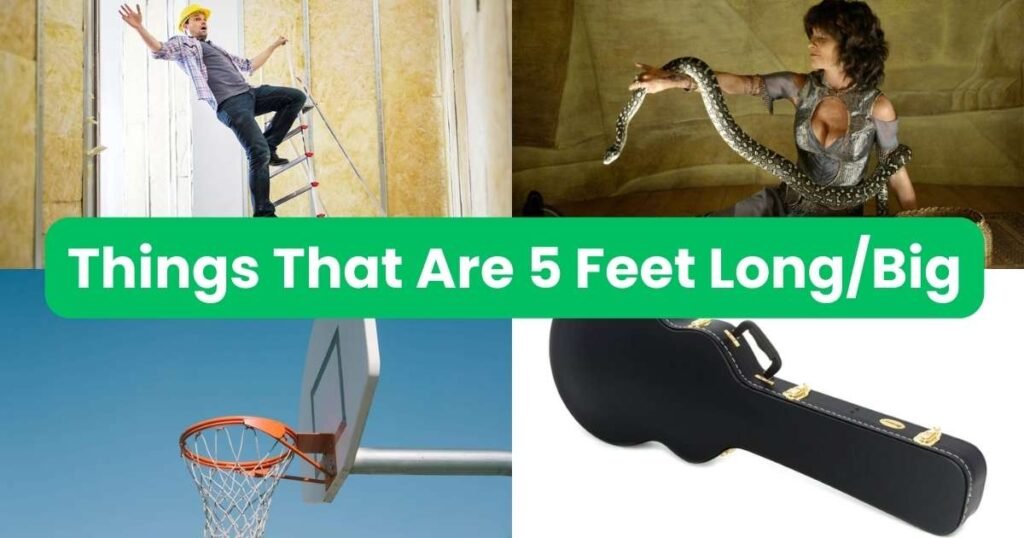 How Long Is 5 Feet?