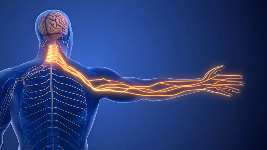 Understanding the Root Causes of Nerve Pain