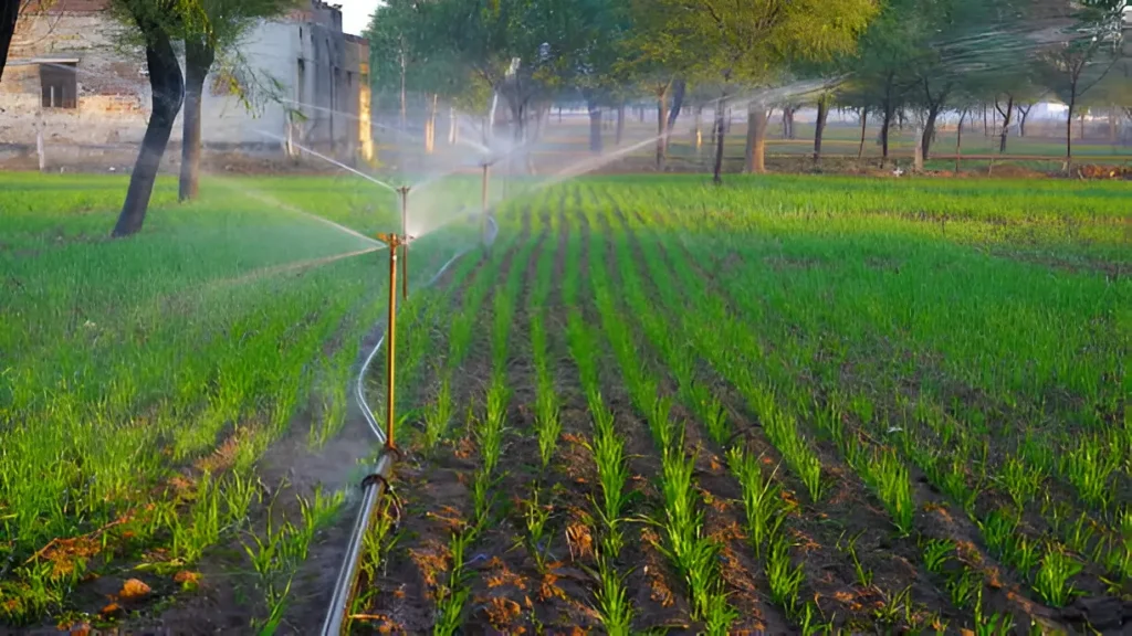 Innovative Strategies for a Healthier Lawn: How Irrigation Systems Make the Difference