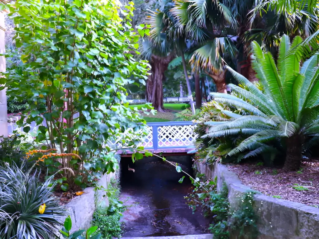 Revitalising Your Space: Landscaping in Sydney's Urban Jungle