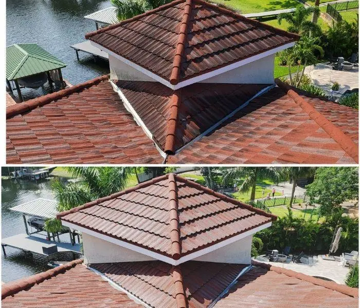 DIY vs. Professional Gutter Cleaning: Which Option Is Right for You? DIY vs. Professional Gutter Cleaning Which Option Is Right for You